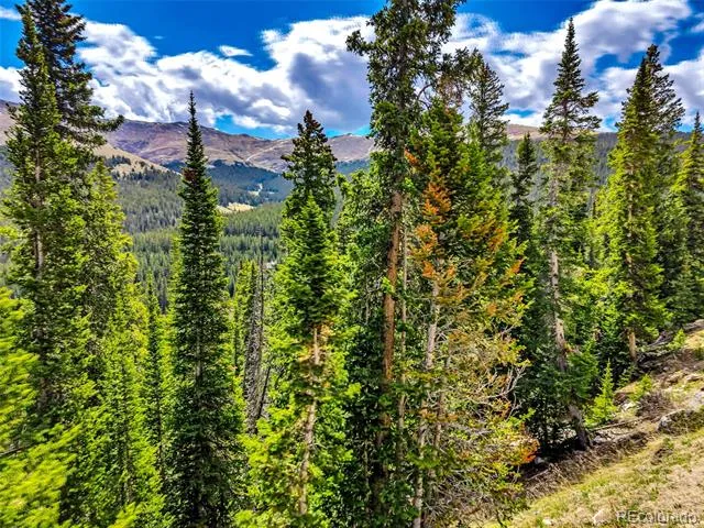 105 & 71 Quandary View Ln Breckenridge, CO 80424