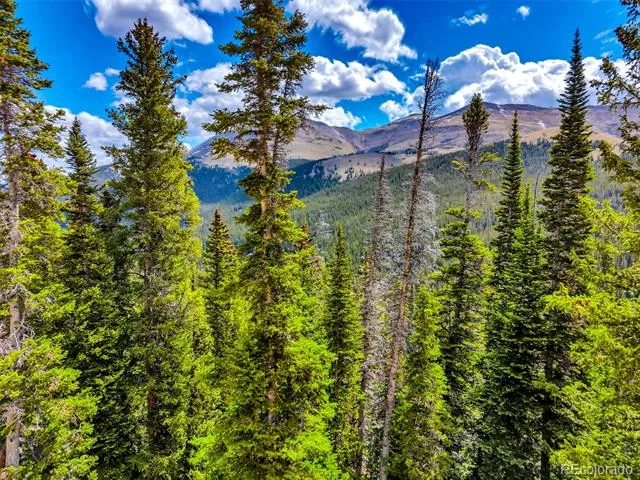 105 & 71 Quandary View Ln Breckenridge, CO 80424