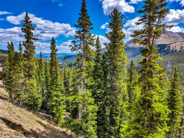105 & 71 Quandary View Ln Breckenridge, CO 80424