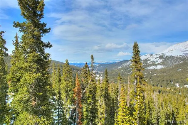 105 & 71 Quandary View Ln Breckenridge, CO 80424