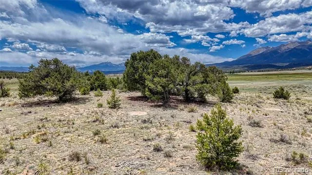 10119 Rawhide Creek Road Nathrop, CO 81236