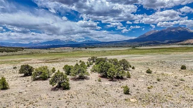 10119 Rawhide Creek Road Nathrop, CO 81236