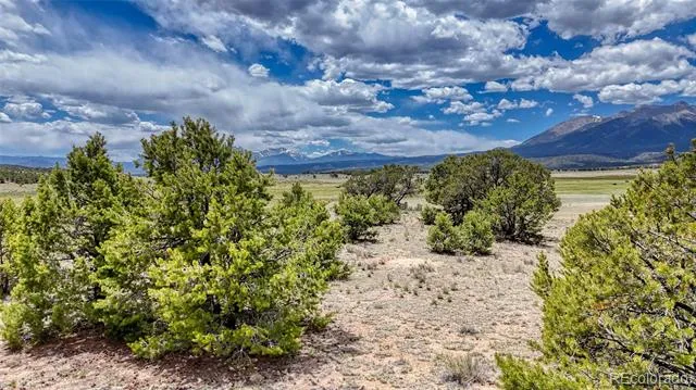 10119 Rawhide Creek Road Nathrop, CO 81236