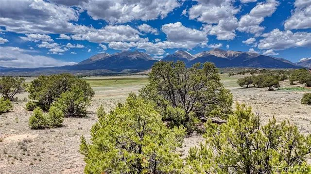 10119 Rawhide Creek Road Nathrop, CO 81236
