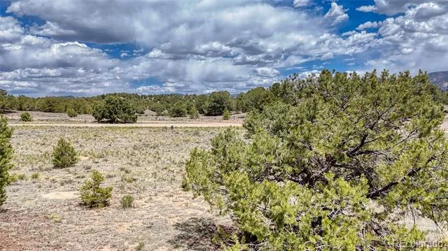 10119 Rawhide Creek Road Nathrop, CO 81236