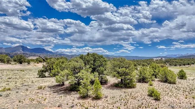 10119 Rawhide Creek Road Nathrop, CO 81236