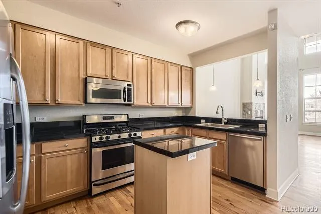 1699 Downing Street #404 Denver, CO 80218