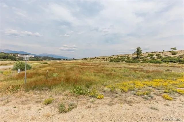 24256 River Rock Lane Buena Vista, CO 81211