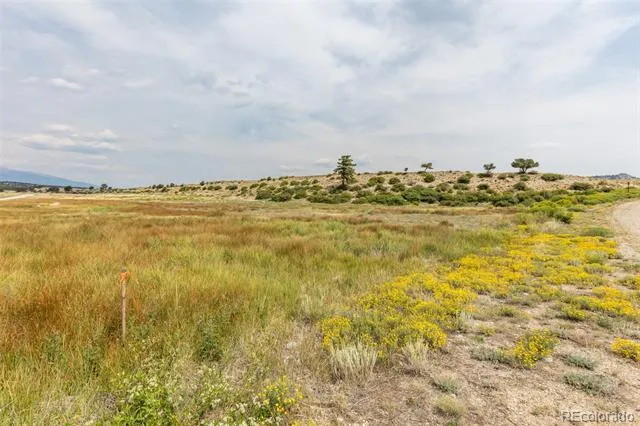 24256 River Rock Lane Buena Vista, CO 81211