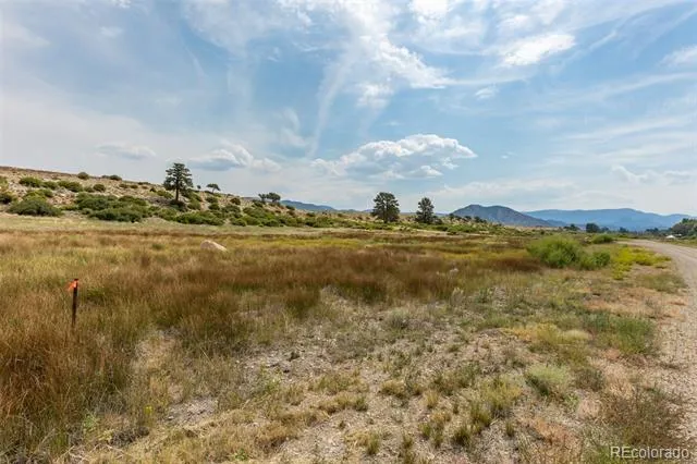 24256 River Rock Lane Buena Vista, CO 81211