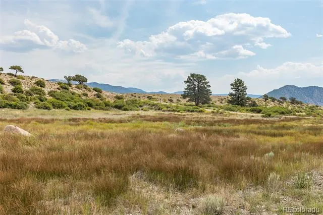 24256 River Rock Lane Buena Vista, CO 81211
