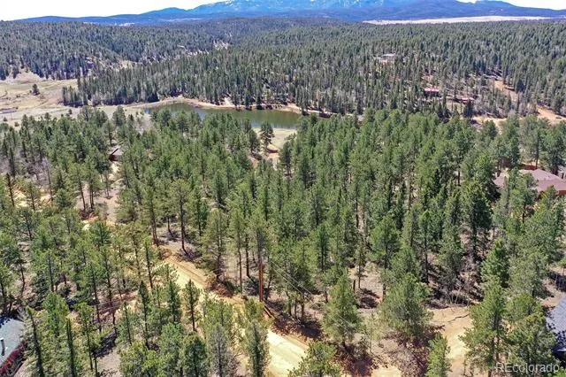 860 Spring Valley Drive Divide, CO 80814