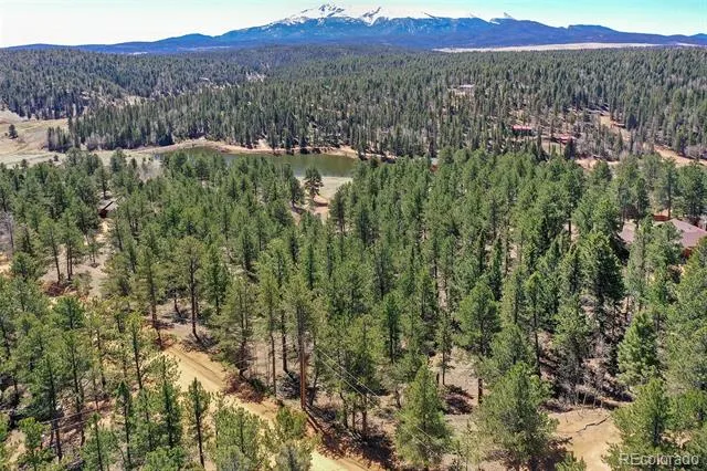 860 Spring Valley Drive Divide, CO 80814