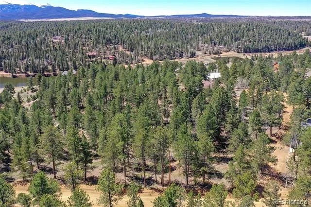 860 Spring Valley Drive Divide, CO 80814