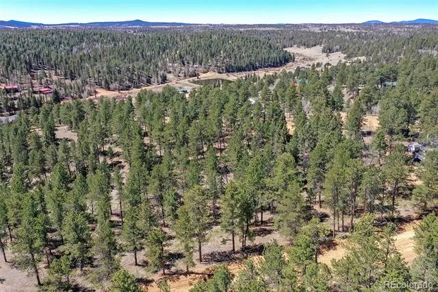 860 Spring Valley Drive Divide, CO 80814