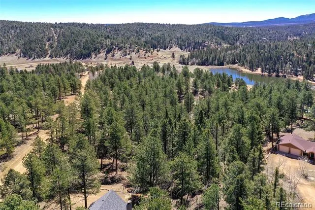 860 Spring Valley Drive Divide, CO 80814