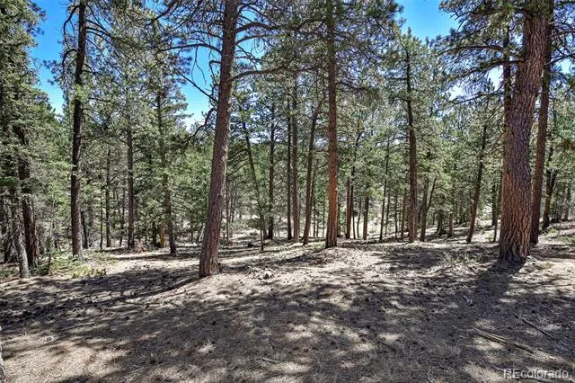 860 Spring Valley Drive Divide, CO 80814