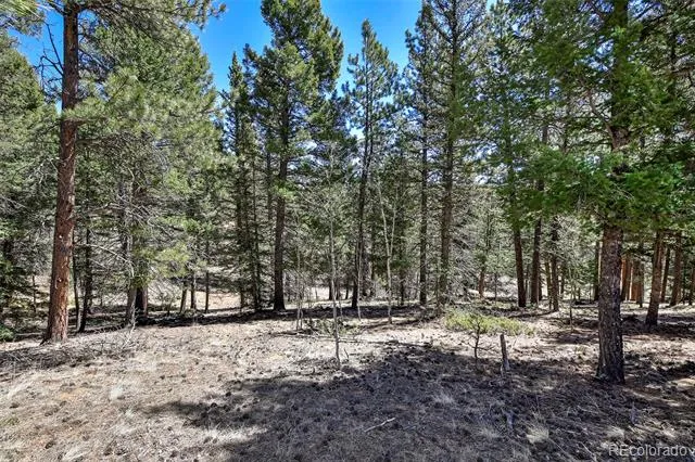 860 Spring Valley Drive Divide, CO 80814