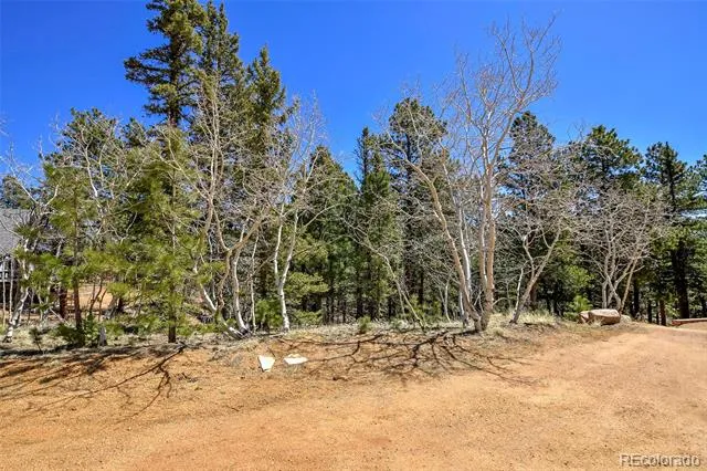 860 Spring Valley Drive Divide, CO 80814
