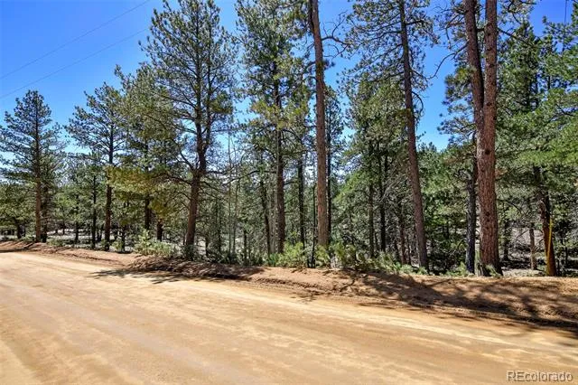 860 Spring Valley Drive Divide, CO 80814