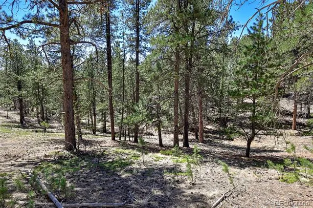 860 Spring Valley Drive Divide, CO 80814