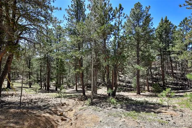 860 Spring Valley Drive Divide, CO 80814