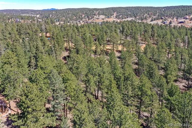 860 Spring Valley Drive Divide, CO 80814