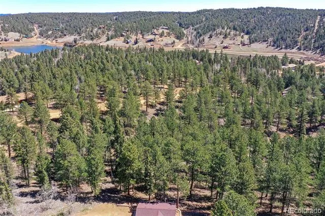 860 Spring Valley Drive Divide, CO 80814