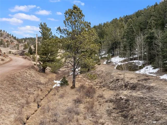 278 Penrose Circle Florissant, CO 80816