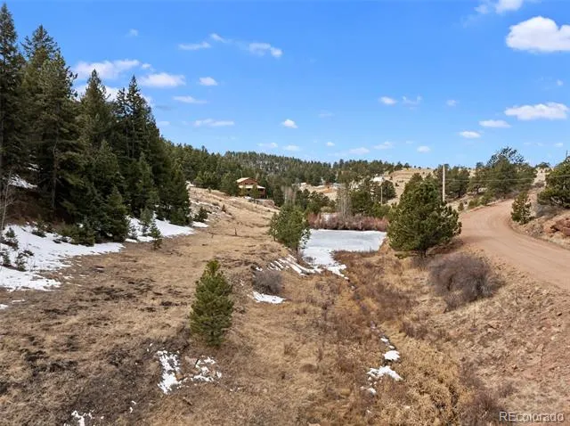 278 Penrose Circle Florissant, CO 80816