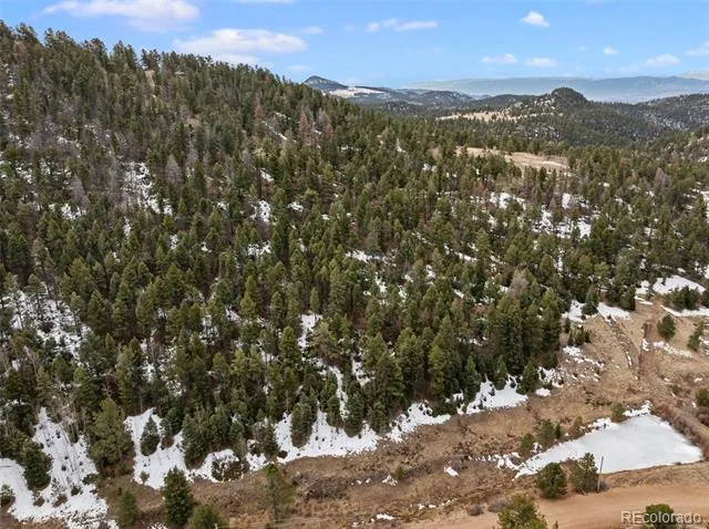 278 Penrose Circle Florissant, CO 80816