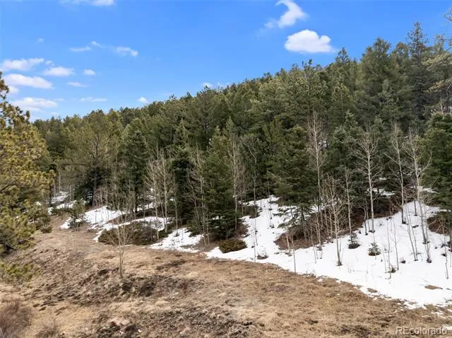 278 Penrose Circle Florissant, CO 80816
