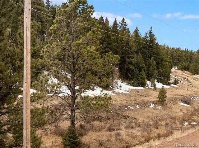 278 Penrose Circle Florissant, CO 80816