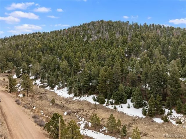 278 Penrose Circle Florissant, CO 80816