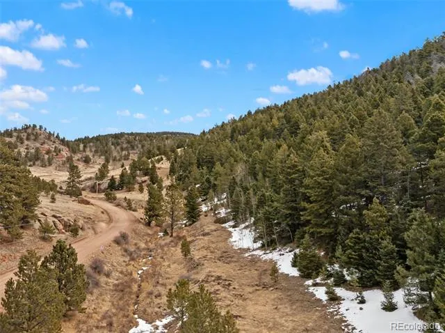 278 Penrose Circle Florissant, CO 80816