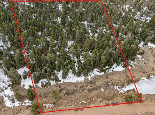 278 Penrose Circle Florissant, CO 80816