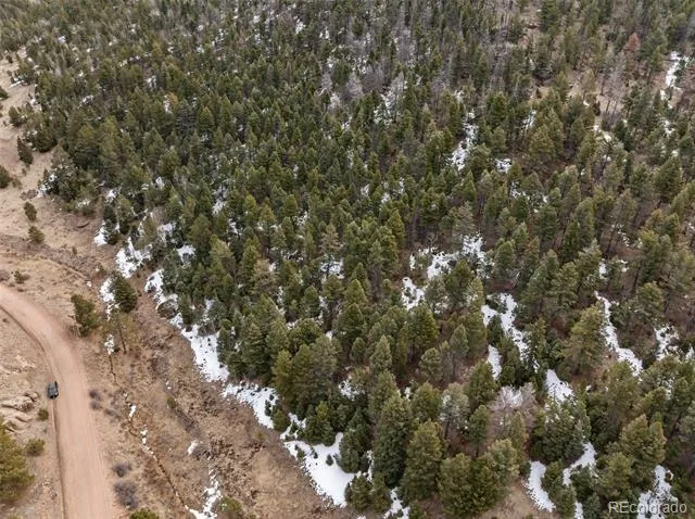 278 Penrose Circle Florissant, CO 80816