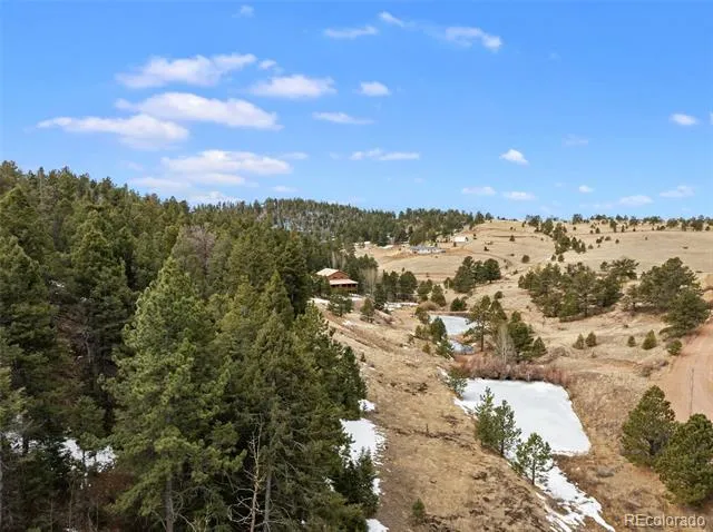 278 Penrose Circle Florissant, CO 80816