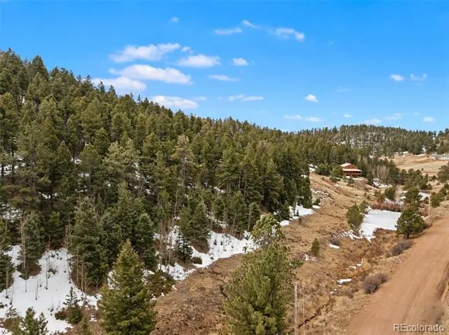 278 Penrose Circle Florissant, CO 80816