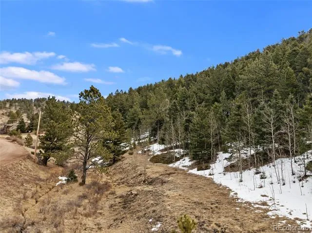 278 Penrose Circle Florissant, CO 80816