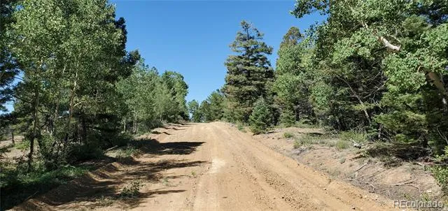 Address Not Shown Fort Garland, CO 81133