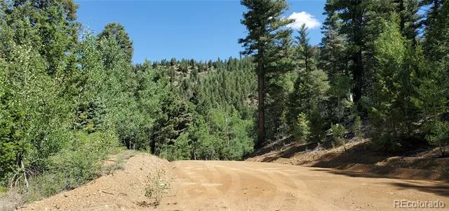 Address Not Shown Fort Garland, CO 81133
