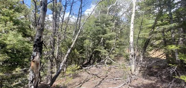 Address Not Shown Fort Garland, CO 81133