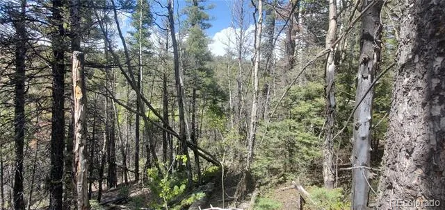 Address Not Shown Fort Garland, CO 81133