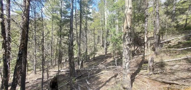 Address Not Shown Fort Garland, CO 81133