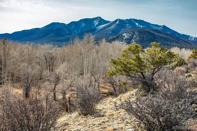 17573 Trout Circle Buena Vista, CO 81211