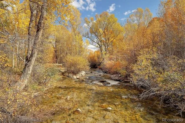 17573 Trout Circle Buena Vista, CO 81211