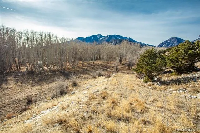 17573 Trout Circle Buena Vista, CO 81211