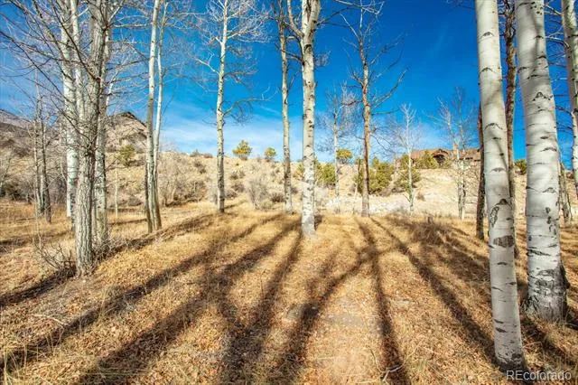 17573 Trout Circle Buena Vista, CO 81211