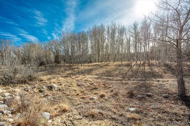 17573 Trout Circle Buena Vista, CO 81211